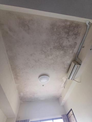 余先生 -  余先生 -