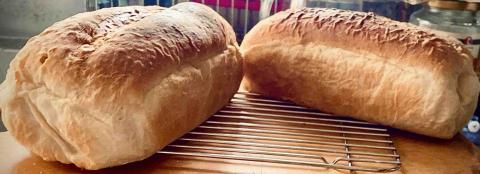 wen&rsquo;s kitchen - 吐司