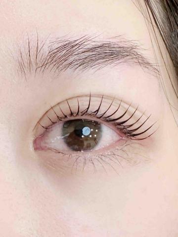 MILLER BEAUTY | 米樂美學苑 - 美睫角蛋白