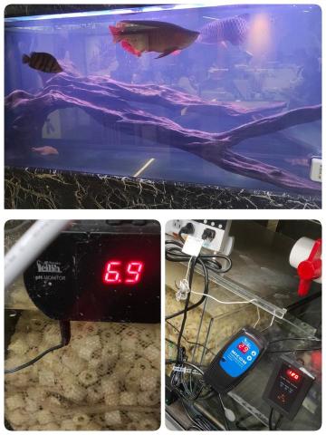 商智行國際有限公司 - 