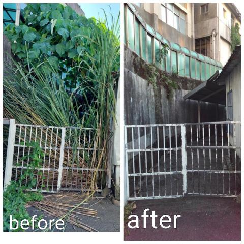 黃先生 - 庭院整理 芒草移除去草根 構樹移除 