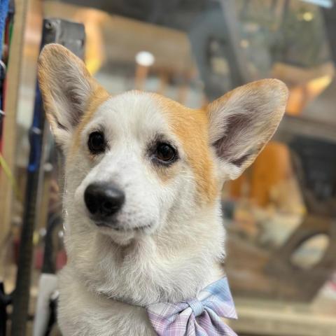 提供保母服務的專家盧宥蓁