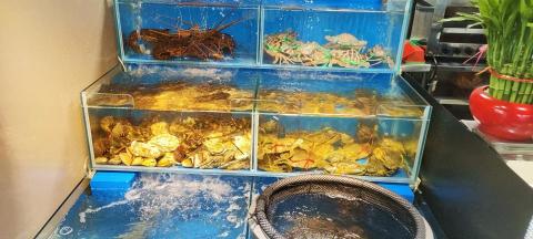 商智行國際有限公司 - 