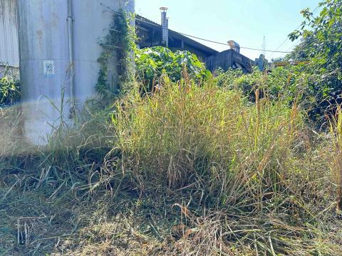 瑋羽園藝工坊 - 埔里案子（前）