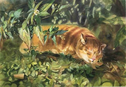 陳韻晴 - 水彩作品