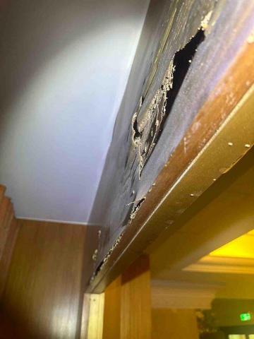 錦衣衛病媒防治 - 環境現勘評估（白蟻防治）