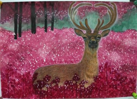 糖果手創美術工作室 - 色鉛筆和顏料-鹿