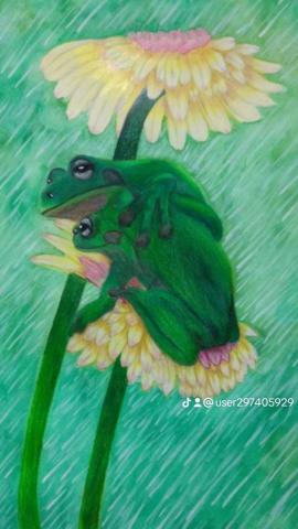 糖果手創美術工作室 - 色鉛筆-雨中躲雨的青蛙