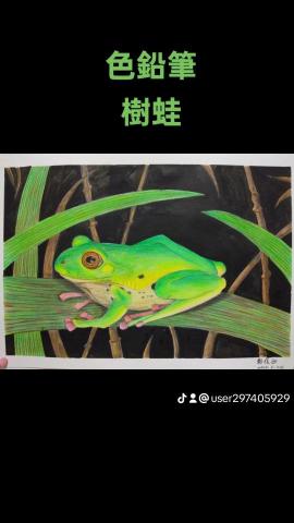 糖果手創美術工作室 - 色鉛筆-樹蛙