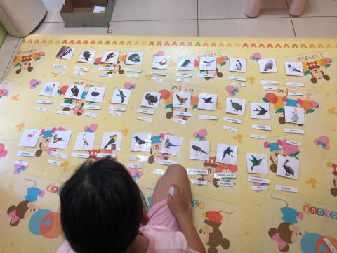 Fun心臨托陪玩個人工作室 - 蒙特梭利三階段教學圖卡~認識30種類