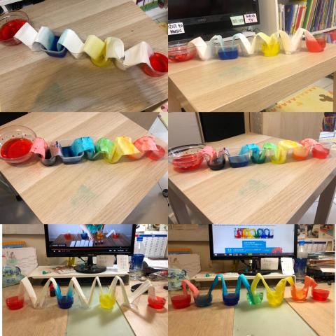 Fun心臨托陪玩個人工作室 - 認識「毛細現象」的有趣實驗