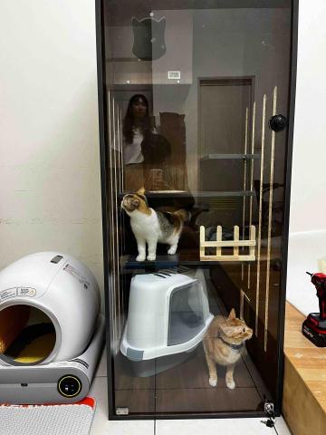 陳又羣 - 寵物寄養用的貓櫃 圖中model 為家中的兩隻貓咪～
規格為60*60*150(cm)