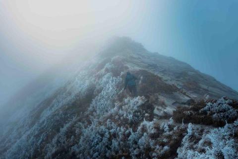 龜攝 - TIFA國際東京攝影大賽 榮譽提名