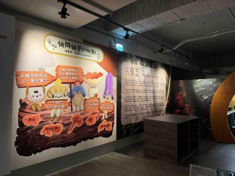 壹柒零廣告有限公司 - 霧峰農會姑姑展