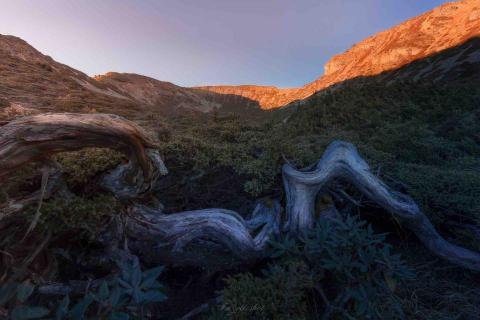 龜攝 - TIFA國際東京攝影大賽 榮譽提名