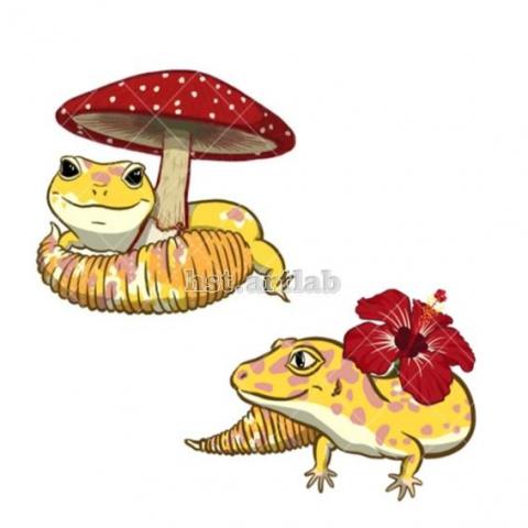 HST - 物件插圖 #2