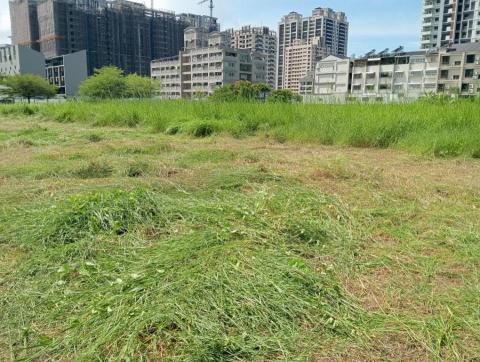 王東明 - 楠梓區680坪土地除草 王東明 - 楠梓區680坪土地除草