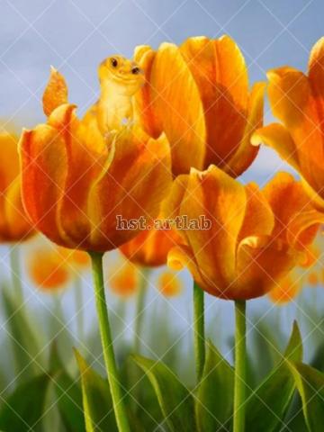 HST - 特寵插畫 #1