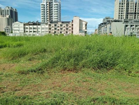 王東明 - 楠梓區建地除草 王東明 - 楠梓區建地除草