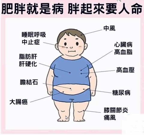 小喻-健康管理師/體態管理 - 