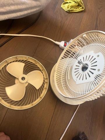 無蟎之家｜除蟎服務｜居家清潔｜裝潢細清 - 後照