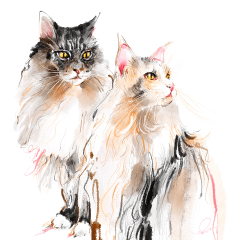 恩時工作室 - 寵物插畫