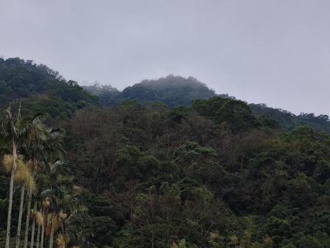 提供加入外送服務的專家藍一鳴