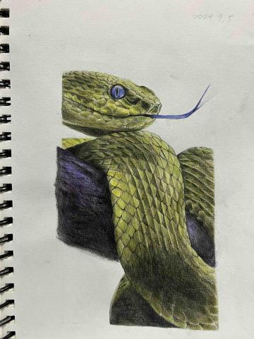 劉羽淇 - 色鉛筆