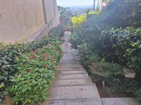 丞勝園藝 - 私人別墅維護