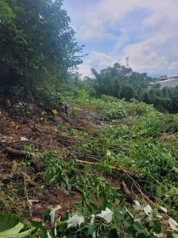 于森園藝企業社 （林先生） - 施工後