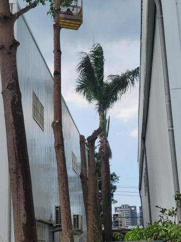 于森園藝企業社 （林先生） - 施工後