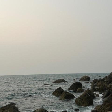 提供股價排行服務的專家珮宇