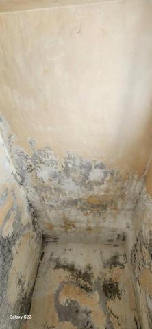 秝研油漆 防水工程 - 新竹縣湖口安宅一街，虹牌油性漆（平光白）施工中