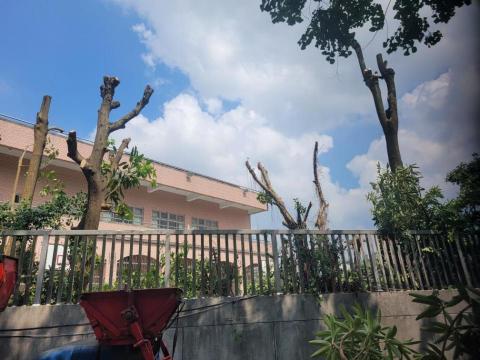 于森園藝企業社 （林先生） - 施工後