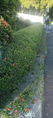 園藝相關業務 - 