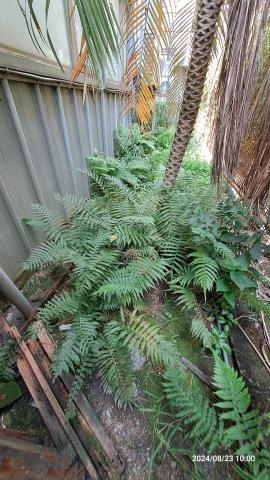 園藝相關業務 - 