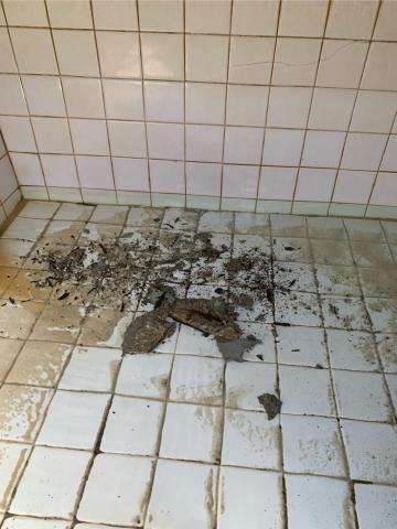 杊沐森鳳屏分店 - 