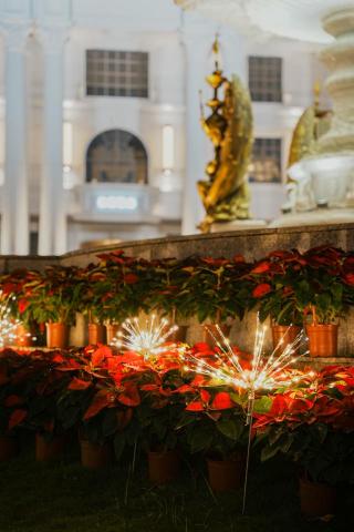 零參零攝影工作室 - 商業攝影│燈飾佈置