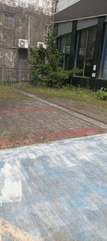 園藝相關業務 - 