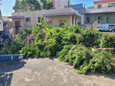 于森園藝企業社 （林先生） - 施工中