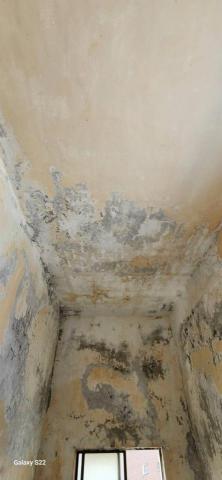 秝研油漆 防水工程 - 新竹縣湖口安宅一街，虹牌油性漆（平光白）施工中