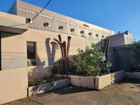 于森園藝企業社 （林先生） - 施工中