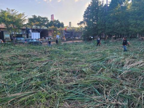 于森園藝企業社 （林先生） - 施工後