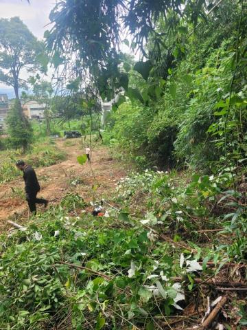 于森園藝企業社 （林先生） - 