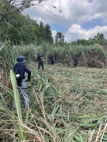 于森園藝企業社 （林先生） - 施工中