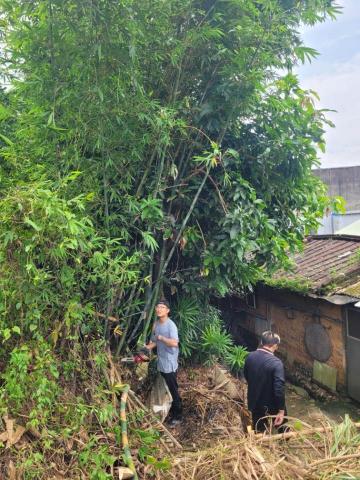于森園藝企業社 （林先生） - 