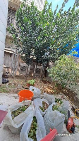 園藝相關業務 - 