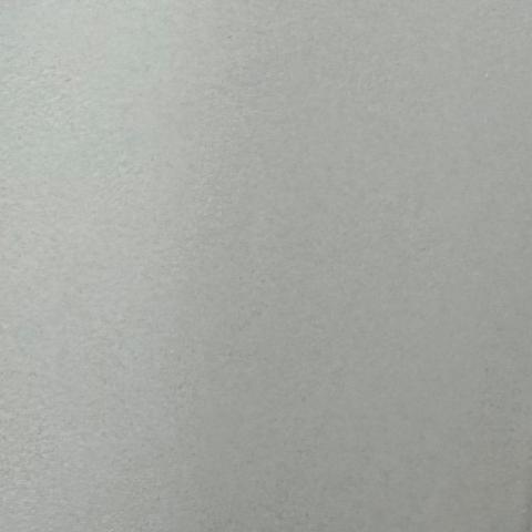 提供高中生物服務的專家林映綺