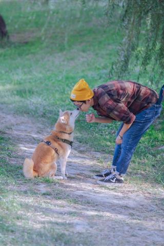 常溫特調工作室 - 人寵互動攝影