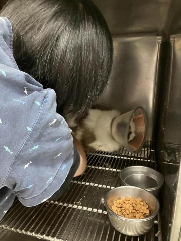 林興甫 - 獸醫院住院部